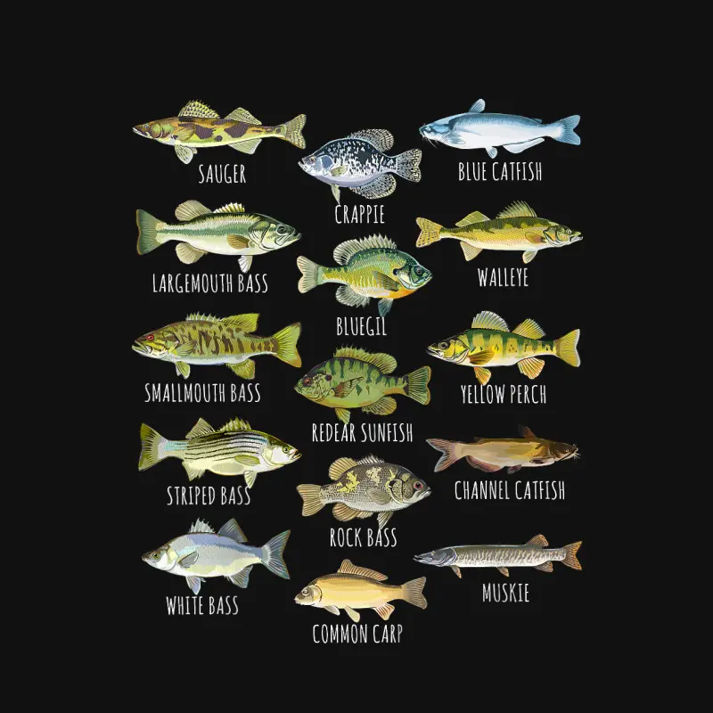 Fish Species Biology Types Of Freshwater Fish Fishing Baby Onesie