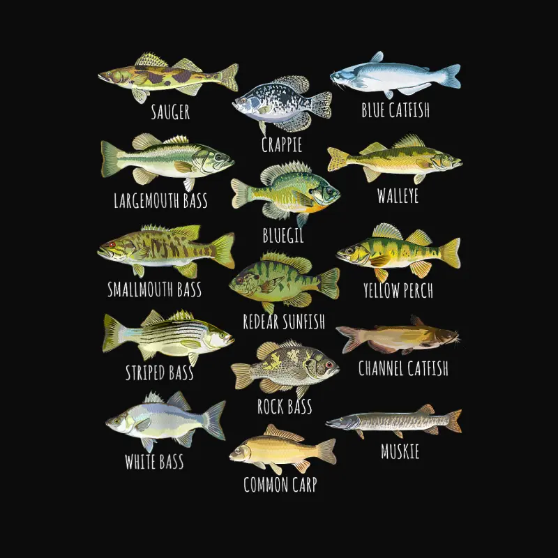 Fish Species Biology Types Of Freshwater Fish Fishing Unisex Staple T-Shirt