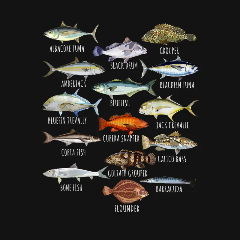 Fish Species Biology Types Of Saltwater Fish Fishing Unisex Long Sleeve T-Shirt