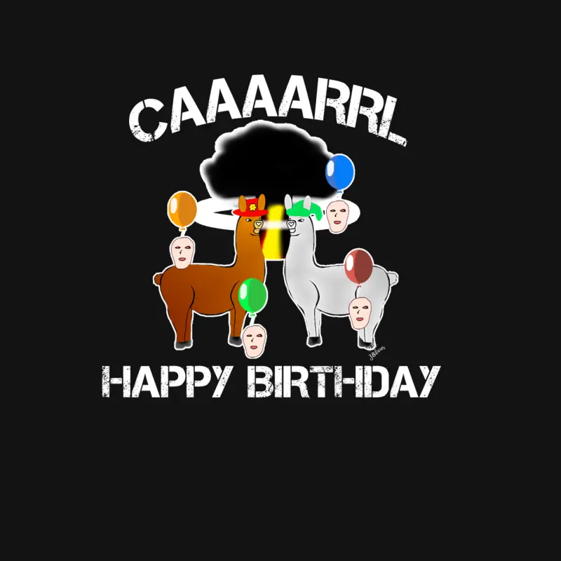 Funny Llama With Hats Lama With Hat Carl Funny Birthday Youth Staple T-Shirt