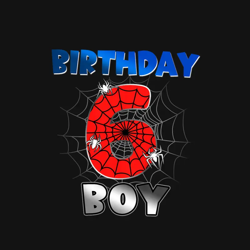 Kids Birthday Boy 6Th Birthday Spider Theme Party 6 Year Old Boys Unisex Long Sleeve T-Shirt