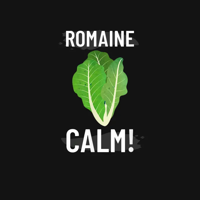 Romain Calm Funny Cooking T Shirt Unisex Long Sleeve T-Shirt