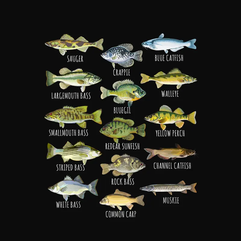 Fish Species Biology Types Of Freshwater Fish Fishing Unisex Staple T-Shirt