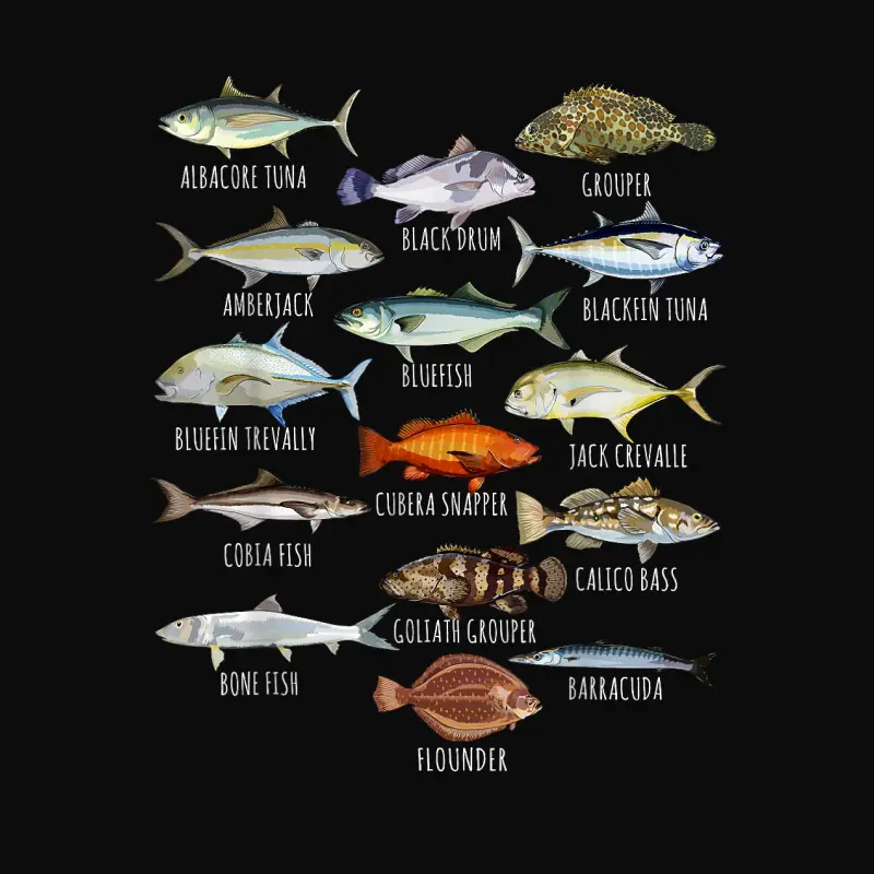 Fish Species Biology Types Of Saltwater Fish Fishing Unisex Staple T-Shirt