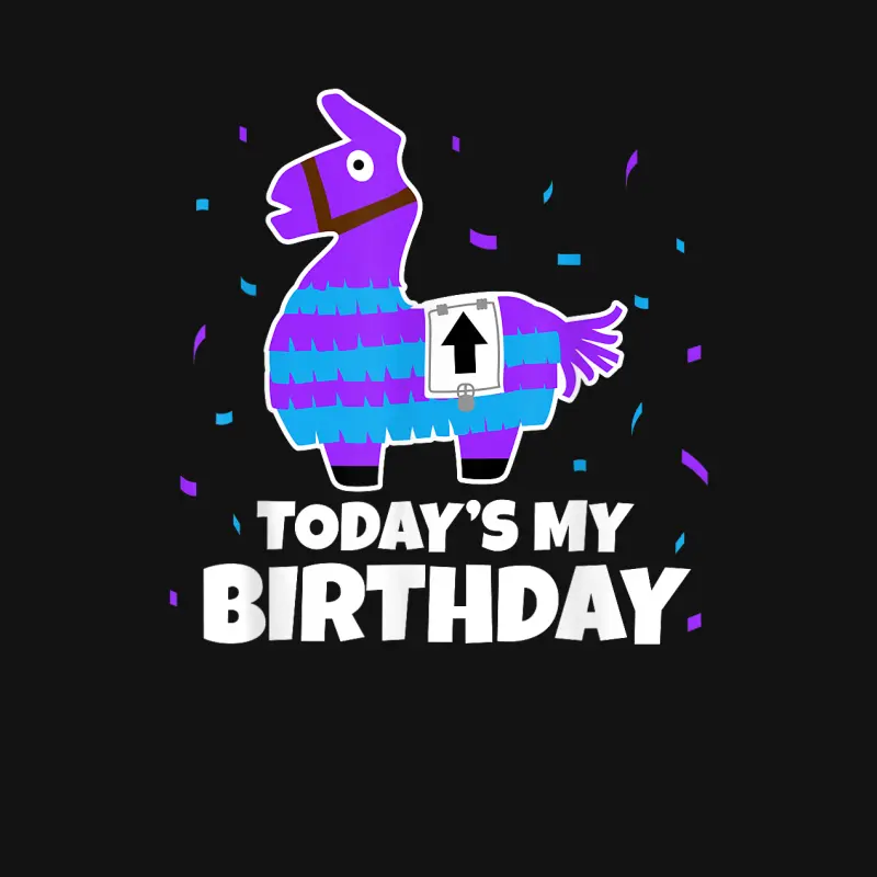 Cute Birthday Llama Funny Bday Animal Party Unisex Long Sleeve T-Shirt
