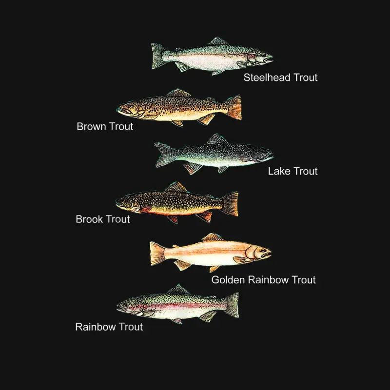 Types Of Trout Fish Species Collection Fishing T-Shirt Youth Staple T-Shirt