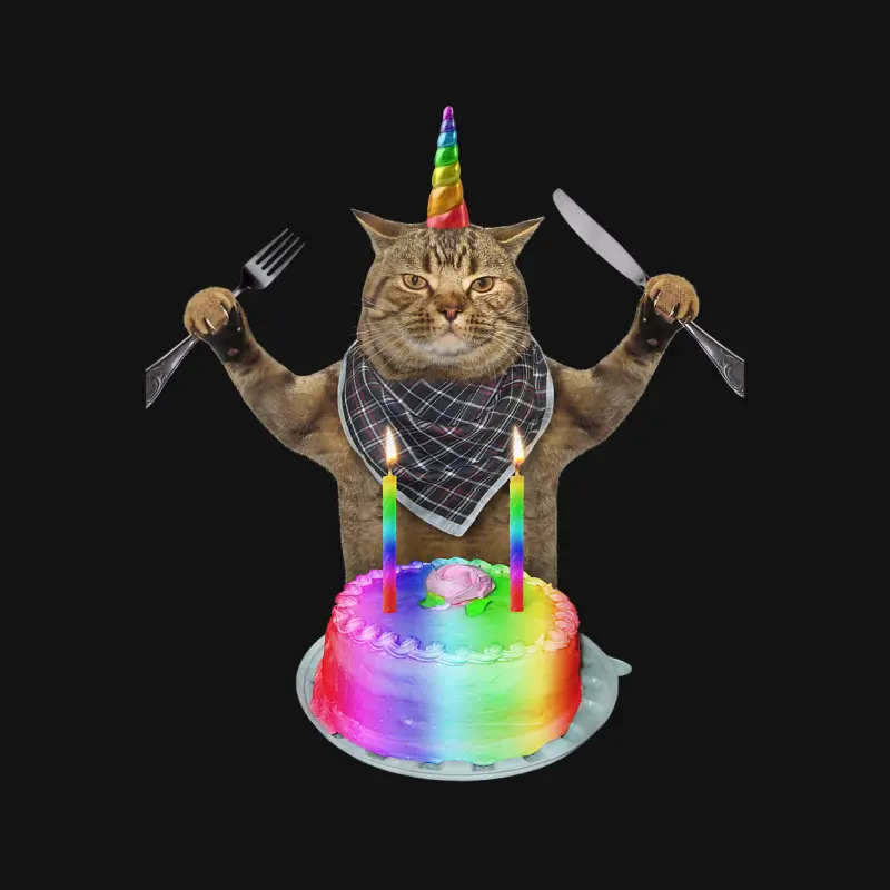 Funny Cat Unicorn With A Birthday Cake Youth Staple T-Shirt