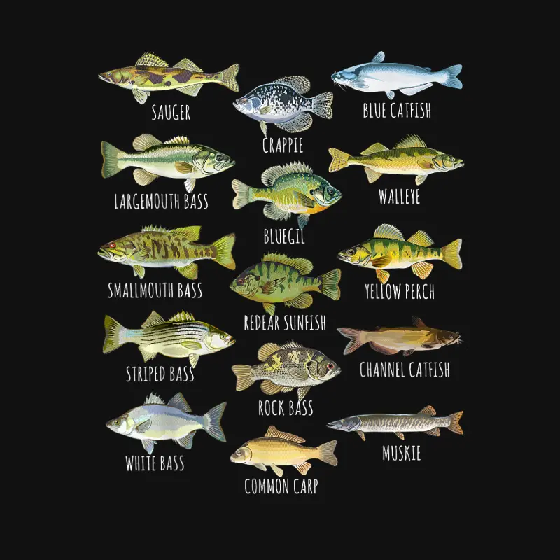 Fish Species Biology Types Of Freshwater Fish Fishing Baby Onesie